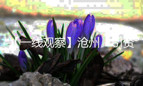 泰州黄沙水泥批发、黄沙电器城批发市场、广州黄沙有什么批发市场、广州黄沙批发市场在哪里