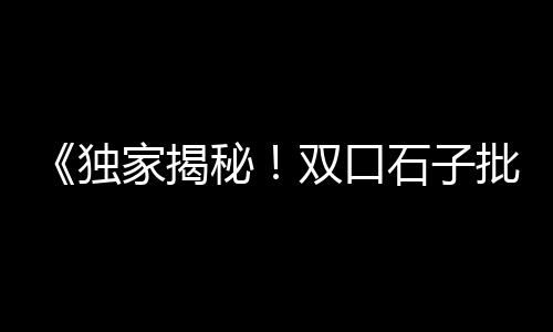 三亚石子骨料批发市场、郑州卖小石子的市场、邳州批发石子市场地址、保定石子建材市场在哪