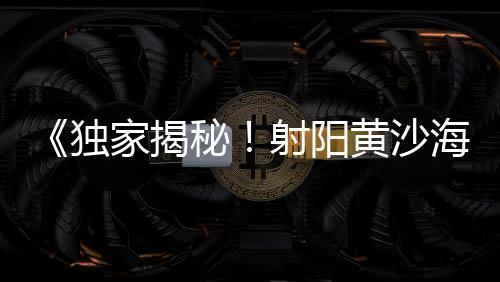 批发零售沙子石子价格、大张庄镇石子零售店在哪、深圳石子零售店地址在哪里、涉县零售石子店在哪个位置