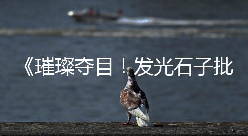 巴南沙子水泥石子零售、零售黄沙石子水泥、蒲城石子馍西安零售、双港石子批发零售