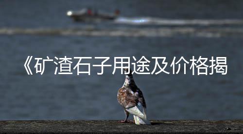 宜兴埠镇石子零售店地址、河北区石子批发零售、南阳石子零售店地址、石子批发厂家零售电话地址