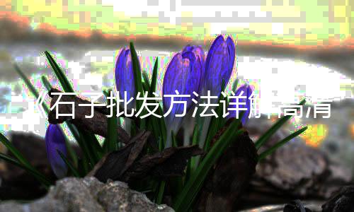 莆田白石子批发市场、江津青石子批发市场地址、昌吉石子馍批发市场地址、张家口石子批发市场电话