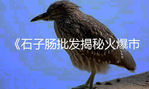 上海黄沙滩的水是淡水吗、上海水泥黄沙电话、上海黄沙滩几点退潮、上海闵行黄沙电话