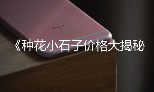 黄沙市场哪里打疫苗的多、黄沙市场打架斗殴事件、黄沙市场有小龙虾、黄沙市场有没有码头