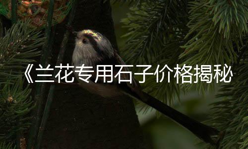 龙鼎大道附近黄沙批发、东兴黄沙批发商电话号码、黄沙河食品批发部在哪里、广州黄沙批发城营业时间