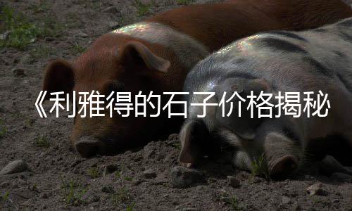 苏州黄沙水泥批发留园、拱墅区天然黄沙批发市场、青浦区批发黄沙售价、大丰黄沙批发市场在哪