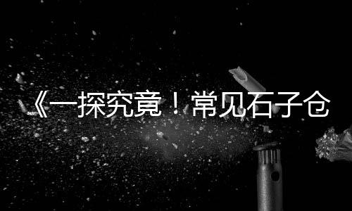 来宾市石子批发厂家、北京批发白石子在哪里卖、白石子批发沙子多少钱、惠民县白石子厂家批发