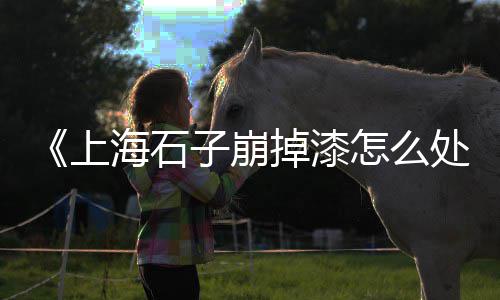 上海漫天黄沙、上海黄沙包哪里有、上海中粗黄沙供应、上海黄沙水泥砌块砖