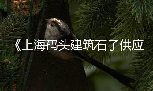 舟山石子运往上海、上海浦东石子厂怎么样啊、上海汽车玻璃被小石子砸了个小点、道砟石子上海铁路局采购价格