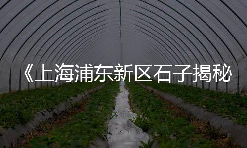 黄沙上海歌舞团、上海哪里有卖黄沙水泥、上海黄沙袋装水泥配送、上海临港黄沙水泥店