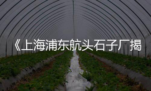 赤峰黄沙水泥批发零售、南通零售黄沙水泥价格、城市里的黄沙零售、天津蛋黄沙厂家批发零售