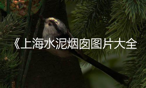 黄沙蚬批发梅县、长沙干黄沙批发市场在哪、黄沙草虾批发价格查询、广州黄沙水产新批发市场