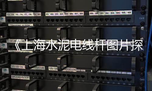 上海临港石子厂地址查询、上海特色石子仓价格比较、上海石子输送机租赁电话、上海石子从哪边拉的货