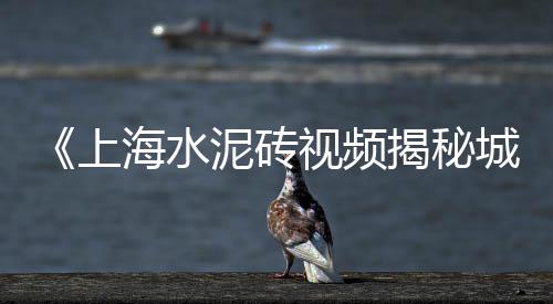 天津沙子石子批发市场、濮阳石子市场价格查询、临沂石头石子批发市场、富平南韩市场石子馍夹菜