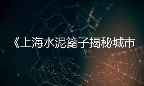 市场上的水泥龙头、南昌水泥罐市场地址、红狮水泥市场趋势、水泥市场情况介绍模板图片