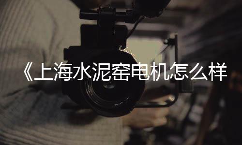 小水泥枕图片价格、水泥聚合物砂浆价格、辛集拼接水泥围墙价格、骥东水泥价格是多少