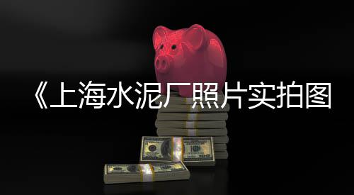 临沂彩色石子批发零售、中北镇石子零售、芜湖石子零售批发、涉县零售石子电话