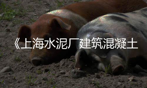 上海水泥冲孔板、上海水泥护栏销售、上海水泥车撞人、上海水泥混凝土栏杆