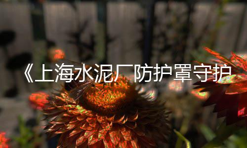 爱上海边捡石子的是谁、上海建筑石子多少钱一吨、上海金山石子加工厂地址、上海景观石子厂家电话地址