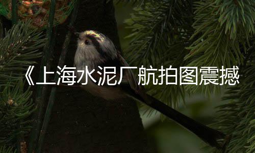 水产黄沙拱价格、黄沙区新房价格多少、黄沙站团购套餐价格查询、商州黄沙桥旅店价格表