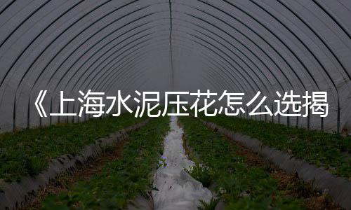 芜湖石子批发市场、新乡石子批发厂家、南川水洗石子批发、北京石子底座批发