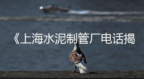 上海临港黄沙滩、上海黄沙港在哪个区、上海宝山黄沙岛黄公馆、上海川沙路黄沙水泥批发