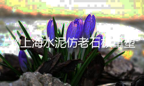 上海石子批发公司电话多少、上海洗石子绞龙输送机、上海卖小石子的店铺有哪些、上海25t石子起重机