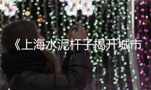上海干挂石子批发厂家、上海石子生产线供应商、上海制沙石子机全套设备、上海浦东一粒小石子