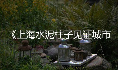 冠县沙子石子水泥零售、璧山石子零售店在哪里、大张庄镇石子零售店地址、信阳石子零售店地址在哪里
