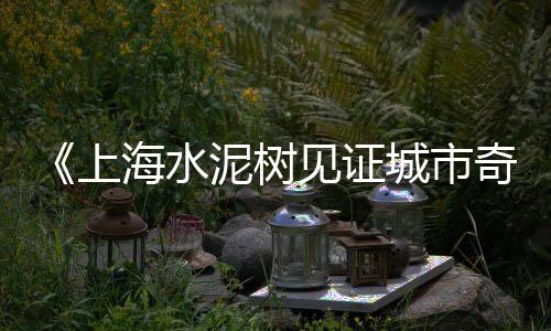 沙石子水泥批发市场、石子岭二手市场搬迁了吗、寒亭石子批发市场地址电话、石子岭二手车市场