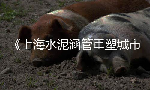 镇海零售黄沙水泥豆石价格、附近零售黄沙水泥、黄沙零售配送招聘、绍兴黄沙水泥零售
