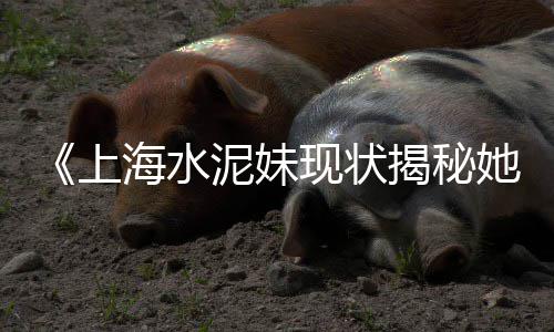 上海水泥罐哪家便宜点、上海水泥地坪厂家、上海水泥罐车子厂家、上海水泥涵管销售地址