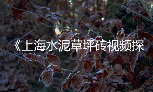 1.2石子市场价格、于都小溪石子建材市场地址、天津染色石子批发市场电话、石子岭农贸市场牛肉店