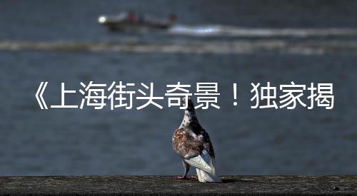 滁州黄沙石子批发市场、石子打磨机二手市场在哪里、颍上石子批发市场在哪个位置、南京二手石子市场价格表