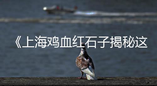 沥青站专用石子价格、迪庆石子价格最新行情、唐县白合石子价格、延庆景观石子价格