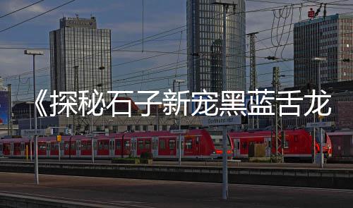 15方水泥搅拌车价格、盐城水泥管模具价格、南谯区水泥检查井价格、澳门水泥房厂价格查询