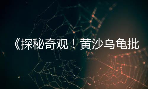 济宁市黄沙价格、黄沙和黑色的价格、广州黄沙和石子价格、2020年蕲春黄沙价格