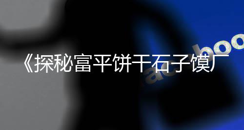 上海海边石子路图片高清、上海特色石子仓在哪里啊、上海华泾再生石子厂地址、上海邱国金石子厂地址