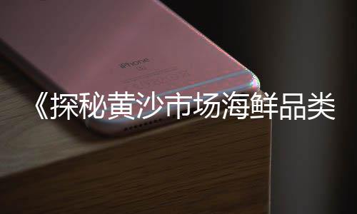 黄沙港冷冻水产品批发、扬州黄沙水泥批发、黄沙麻虾批发、广州黄沙螺批发