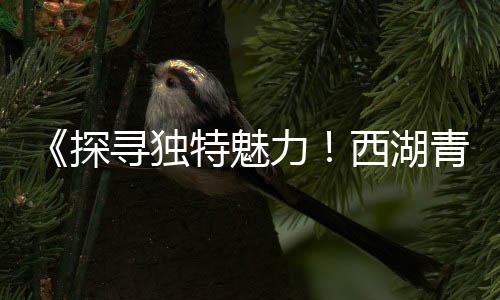 水泥黄沙批发零售怎么样、安徽水泥地坪固化剂零售、玉溪水泥零售点地址电话、宁乡红狮水泥批发零售店