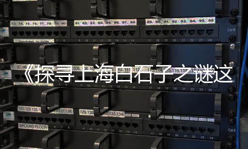 上海大量收购再生石子、上海石子谁要、姚石子上海、上海园林石子