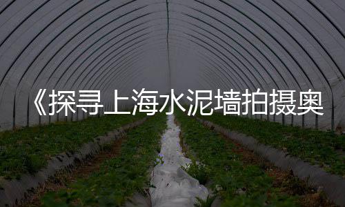 舟山水磨石石子批发、富顺景观石子批发、鹤壁彩色石子批发厂家、石子批发收费标准
