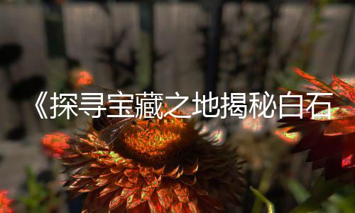 上海码头黄沙水泥批发、上海一吨黄沙价格、上海奉贤南桥水泥黄沙、上海黄沙岛旅游景点