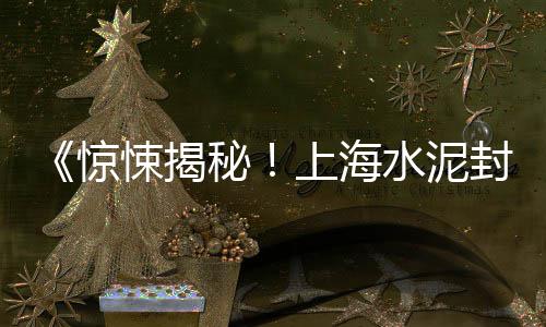 上海小胖熊黄沙码头、上海宝山黄沙水泥码头、颍上海波黄沙水泥、上海杨行黄沙水泥