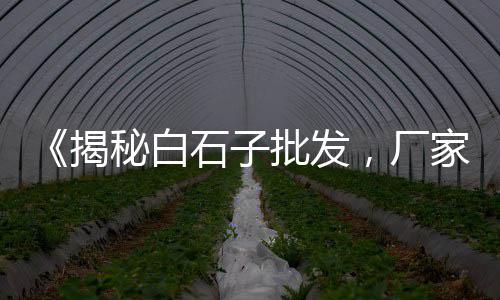 水泥黄沙批发零售盱眙、北海黄沙海鲜批发市场、黄沙海鲜批发市场晚上、黄沙岗镇早点批发市场