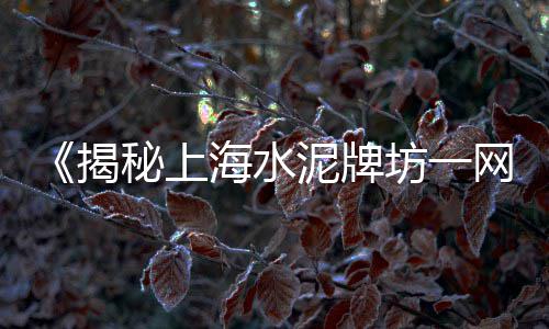 上海水泥添加剂、上海水泥沥青路面裂纹、上海水泥模具报价大全图、上海水泥砂浆喷涂租赁