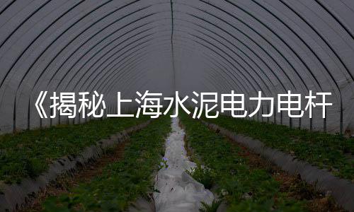 青岛高钙石石子批发市场、广州批发白石子的市场、临沂石子市场价格、现在石子的市场价