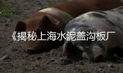 彩虹石子批发、石子批发2942880Z空间、石家庄井陉矿区石子批发、内蒙古景观石子批发
