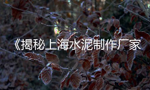 卖石子的小姐姐上海、上海石子路、上海需要石子吗、上海金山码头石子