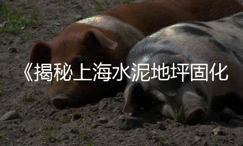 上海红砖水泥黄沙价格、宜兴小型黄沙价格、黄沙大道小区价格、黄沙和黄土价格
